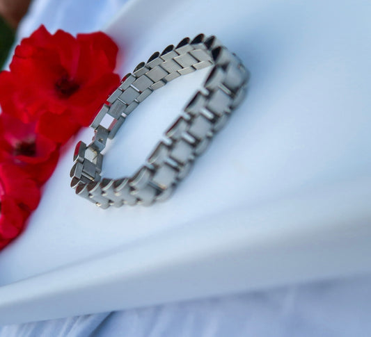 Silver Watch Band