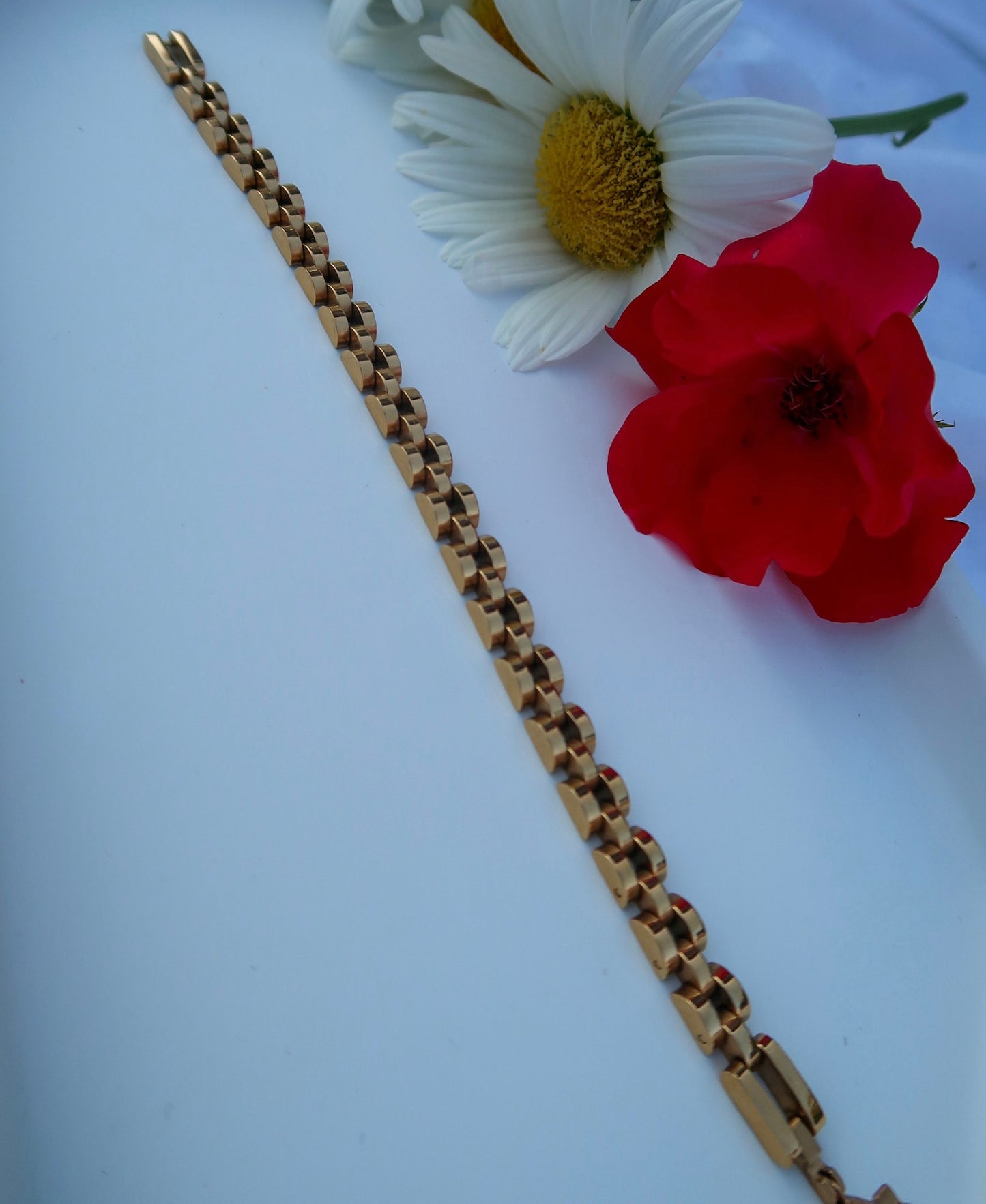 Gold Watch band